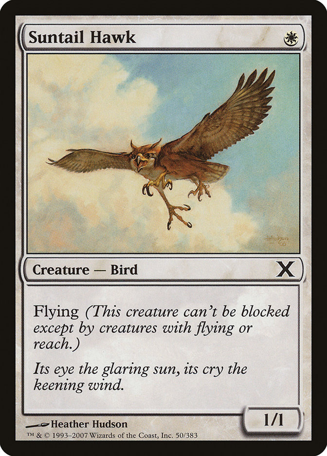 image Suntail Hawk