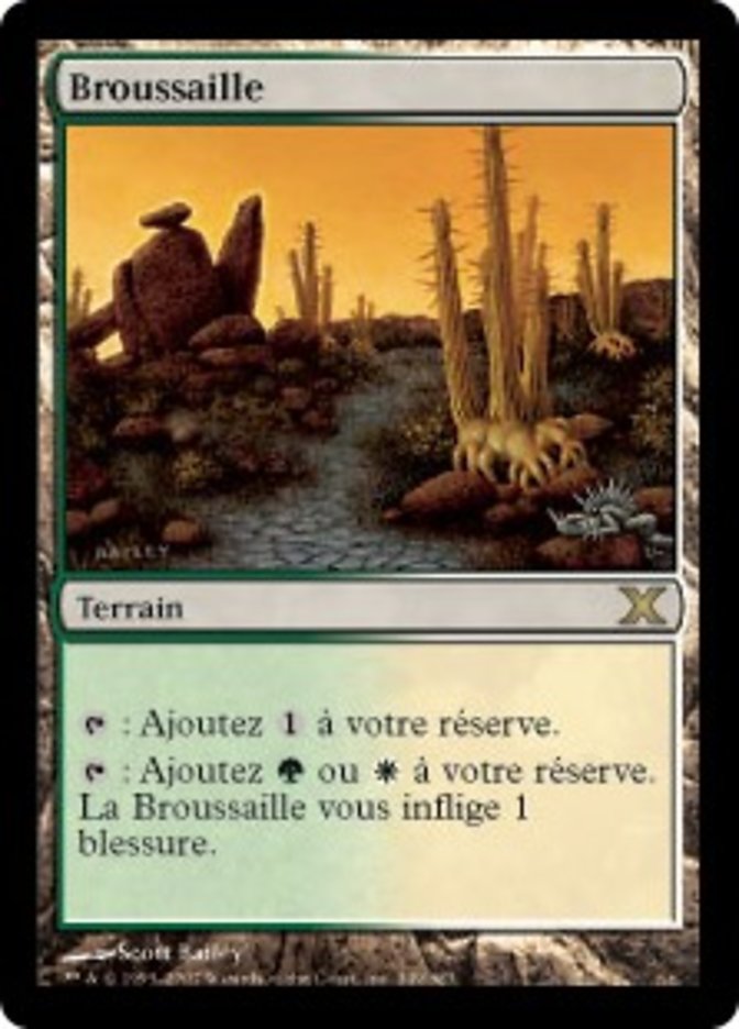 image Broussaille