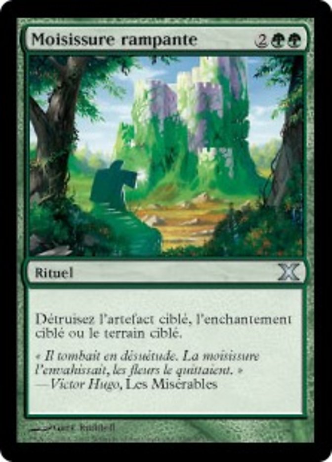 image Moisissure rampante