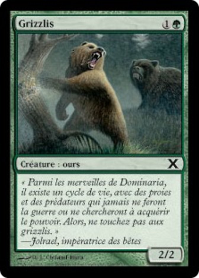 image Grizzlis