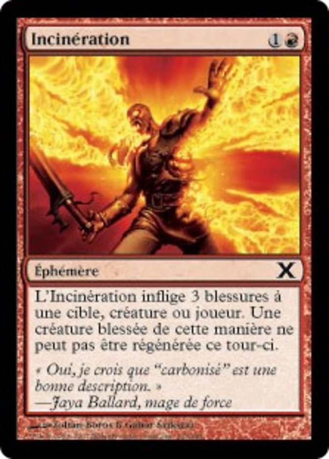 image Incinération