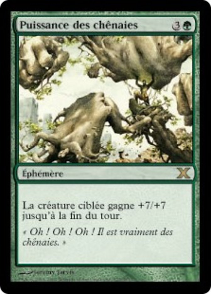 image Puissance des chênaies