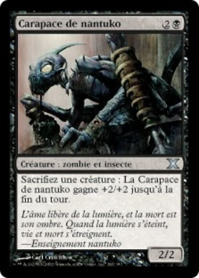 image Carapace de nantuko