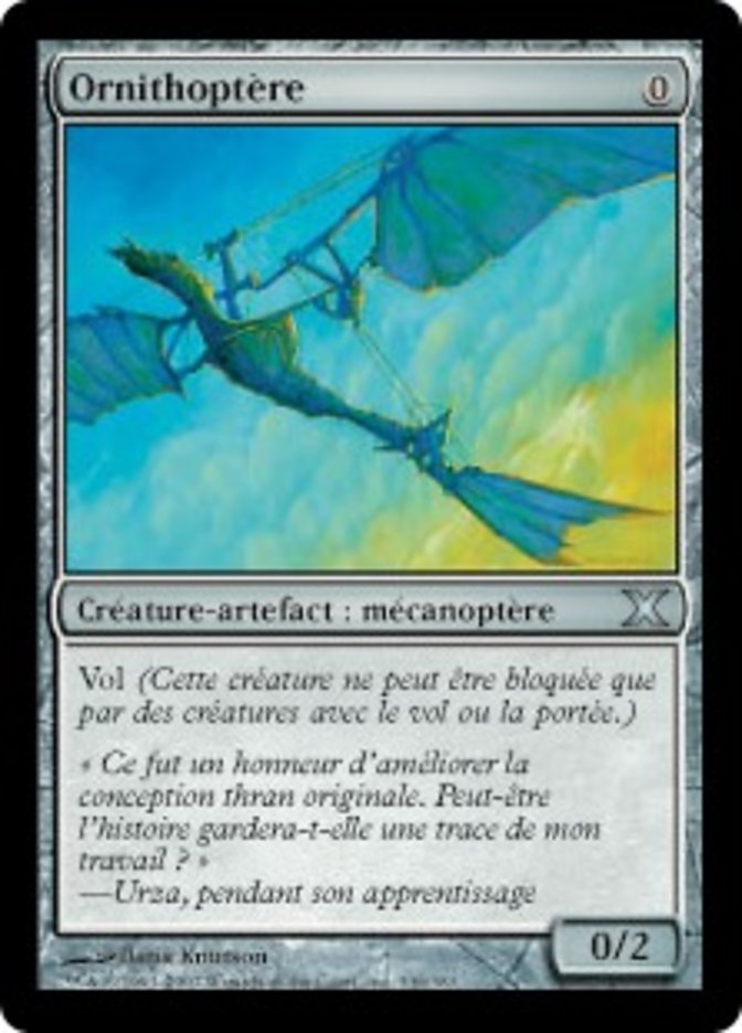 image Ornithoptère