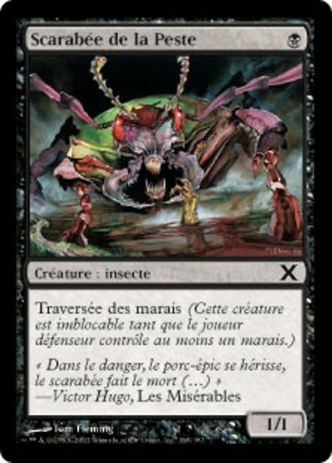 image Scarabée de la Peste