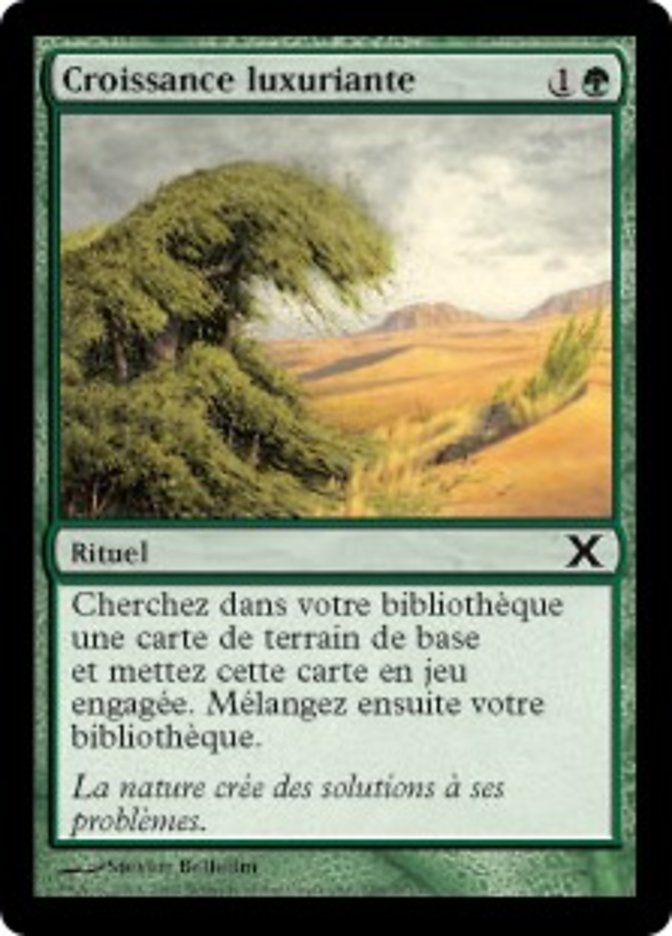 image Croissance luxuriante