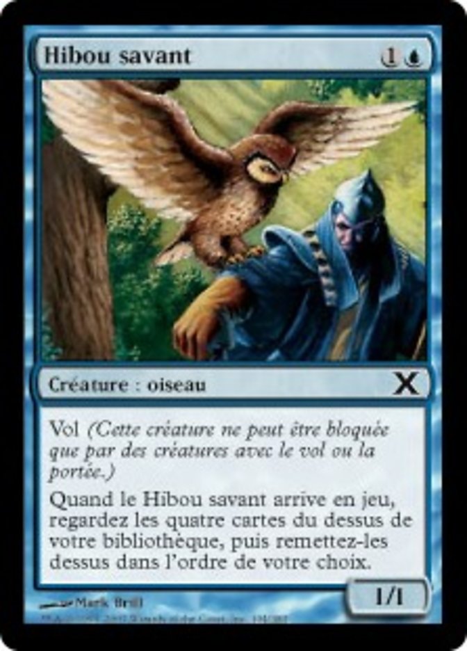 image Hibou savant