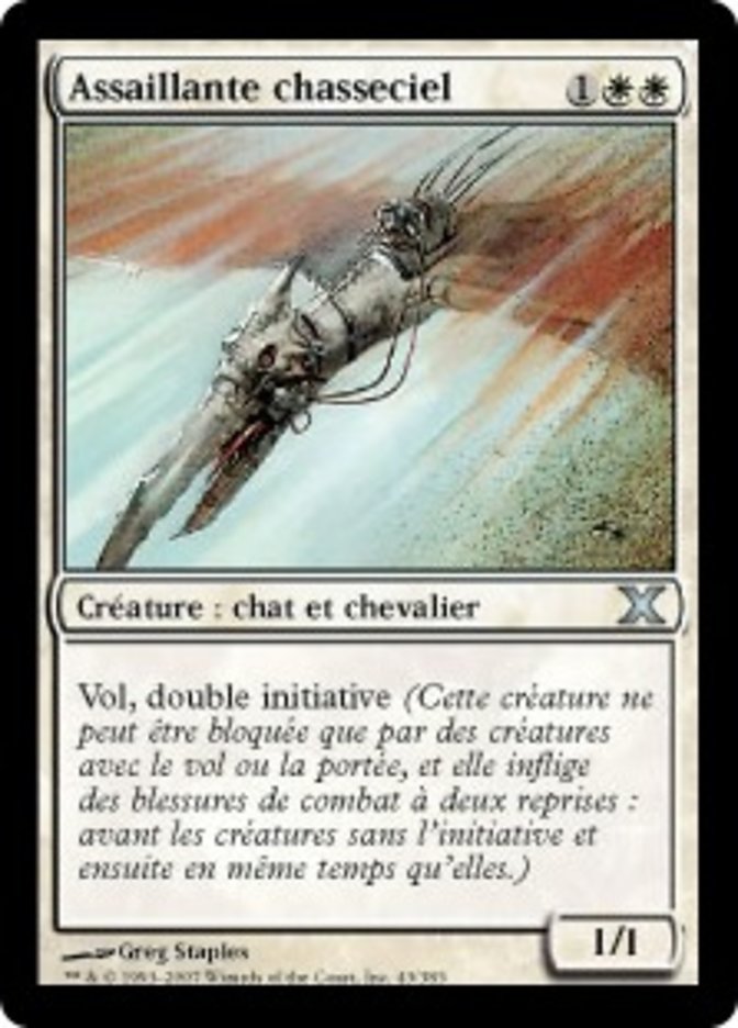 image Assaillante chasseciel