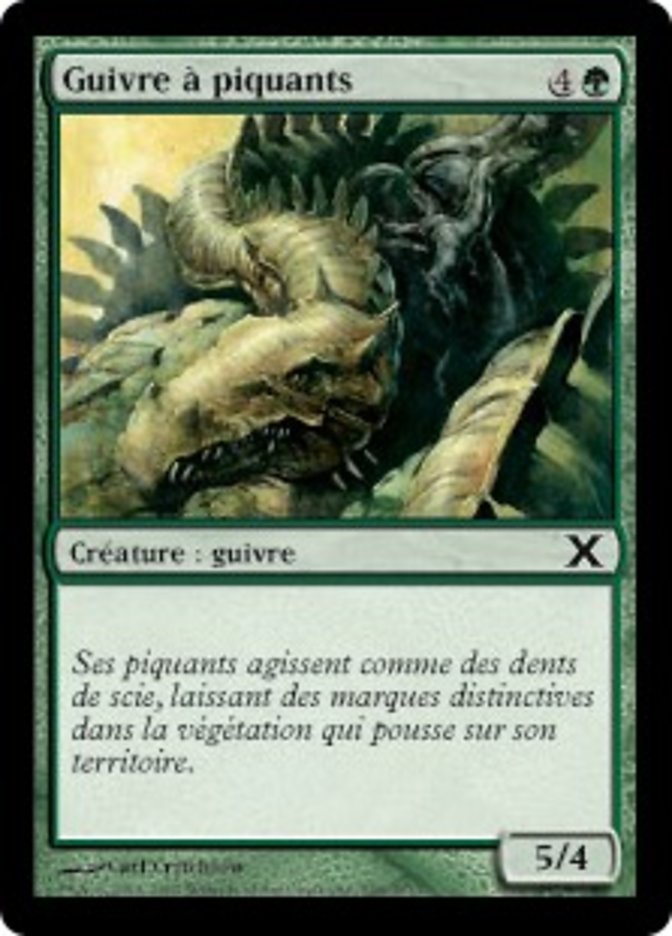 image Guivre à piquants