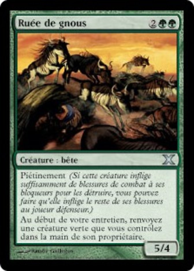 image Ruée de gnous