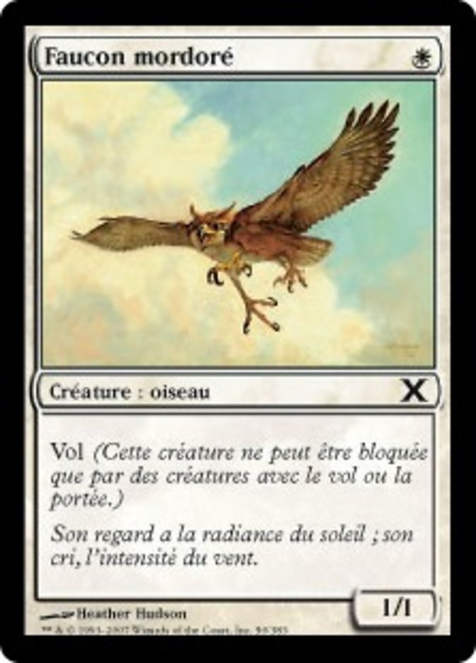 image Faucon mordoré
