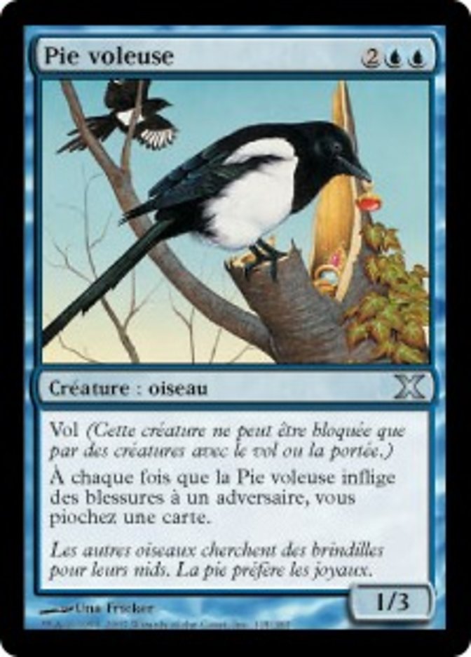 image Pie voleuse