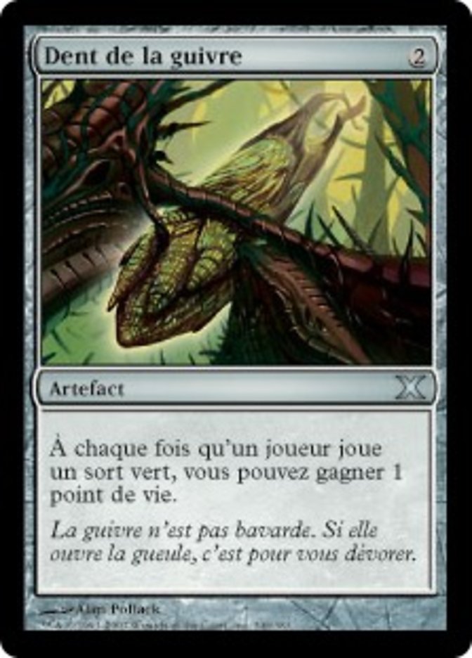 image Dent de la guivre