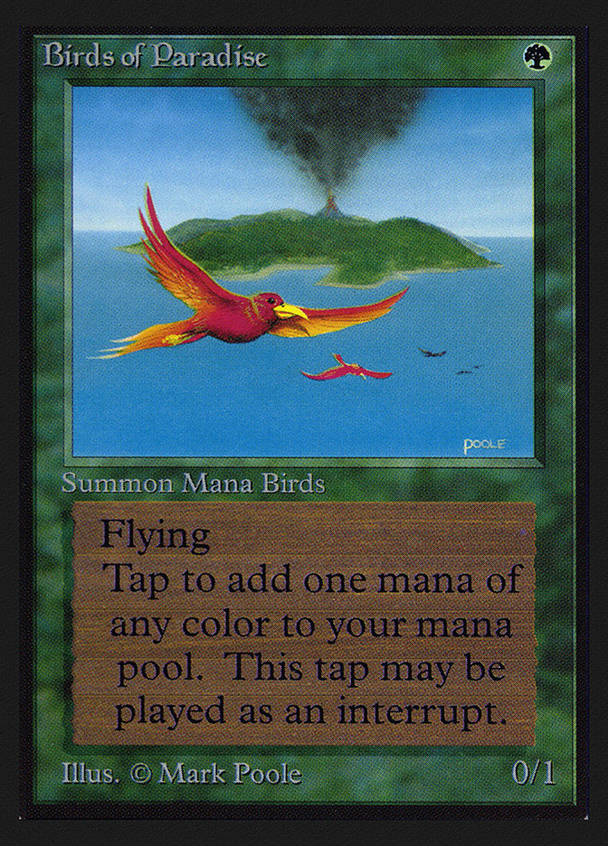 image Birds of Paradise