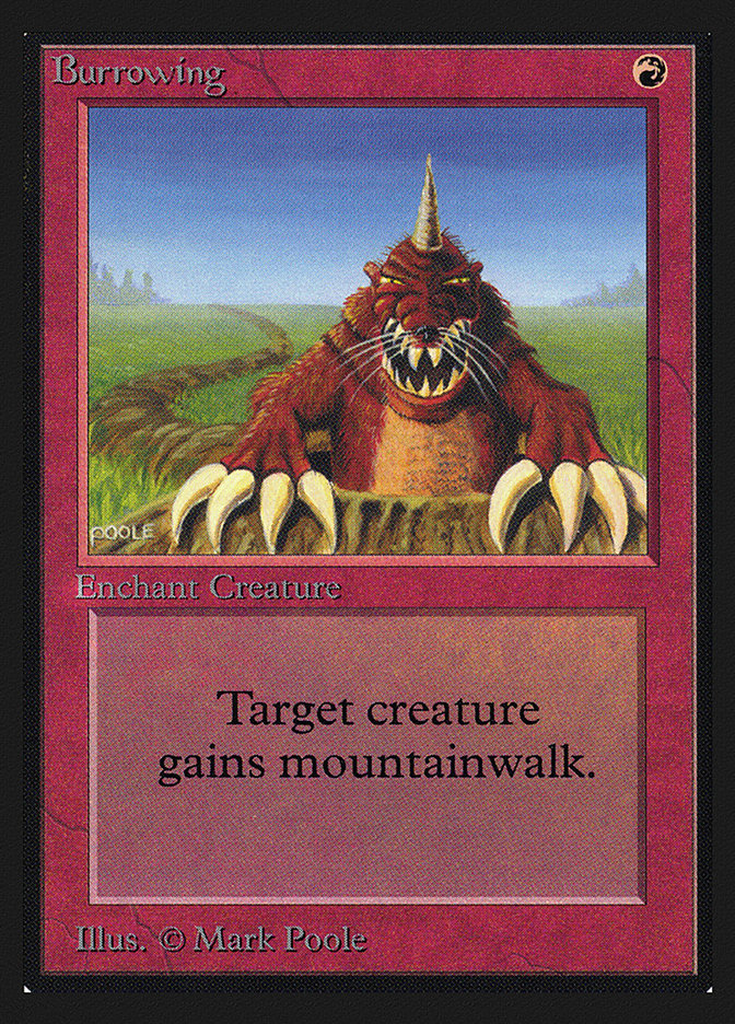 image Burrowing