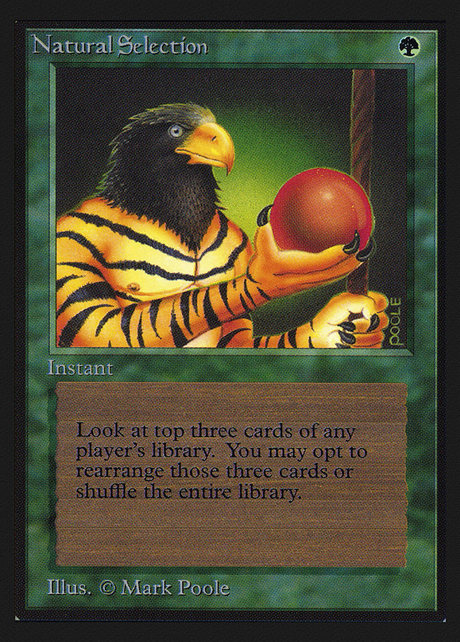 image Natural Selection