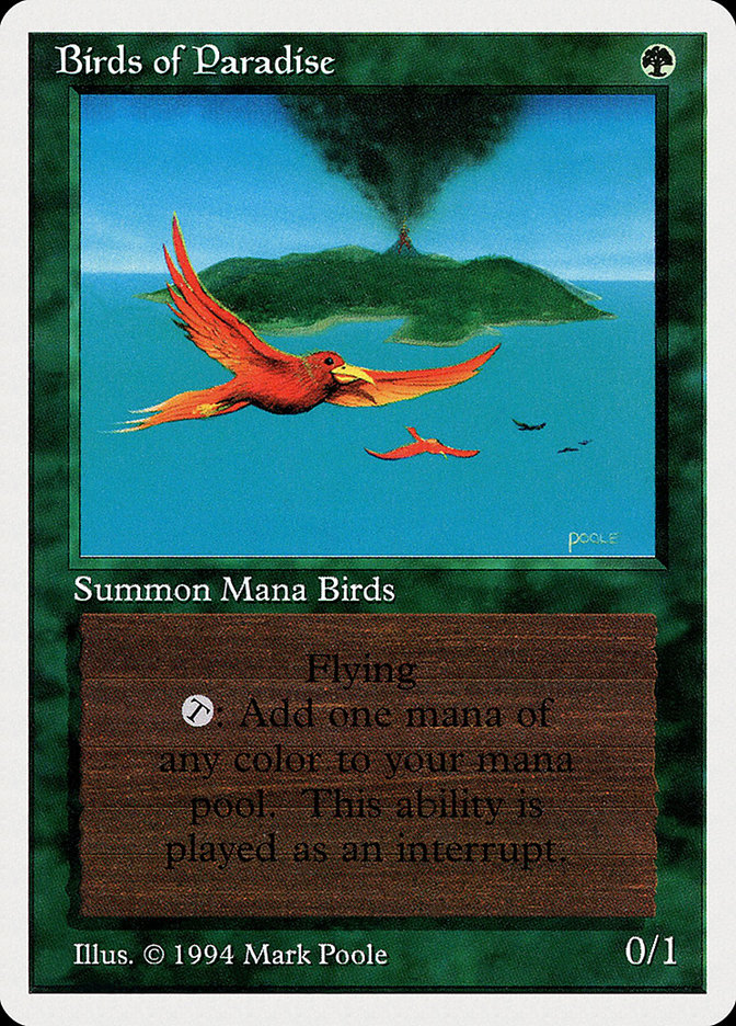 image Birds of Paradise