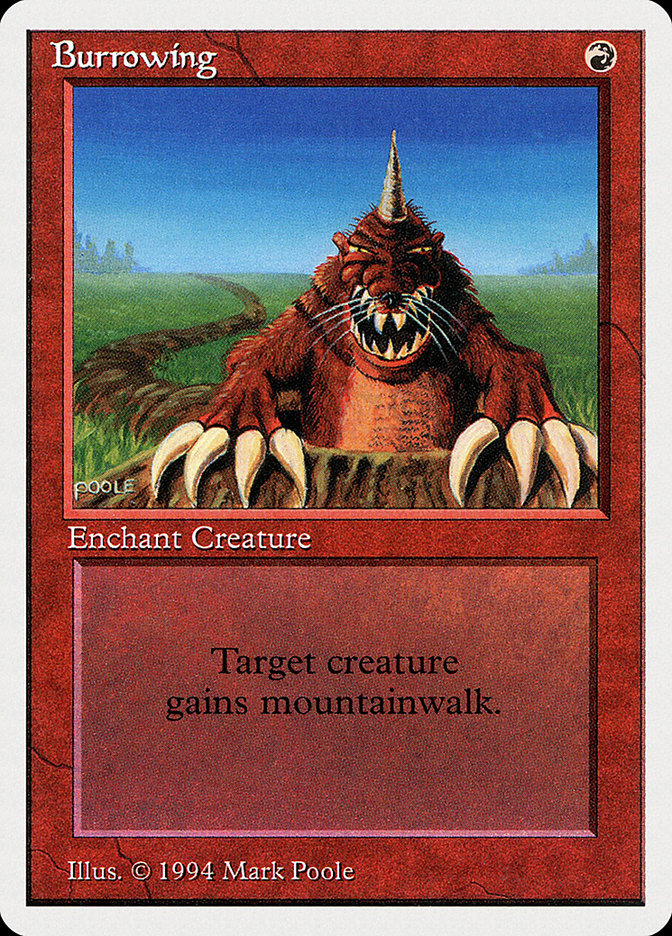 image Burrowing
