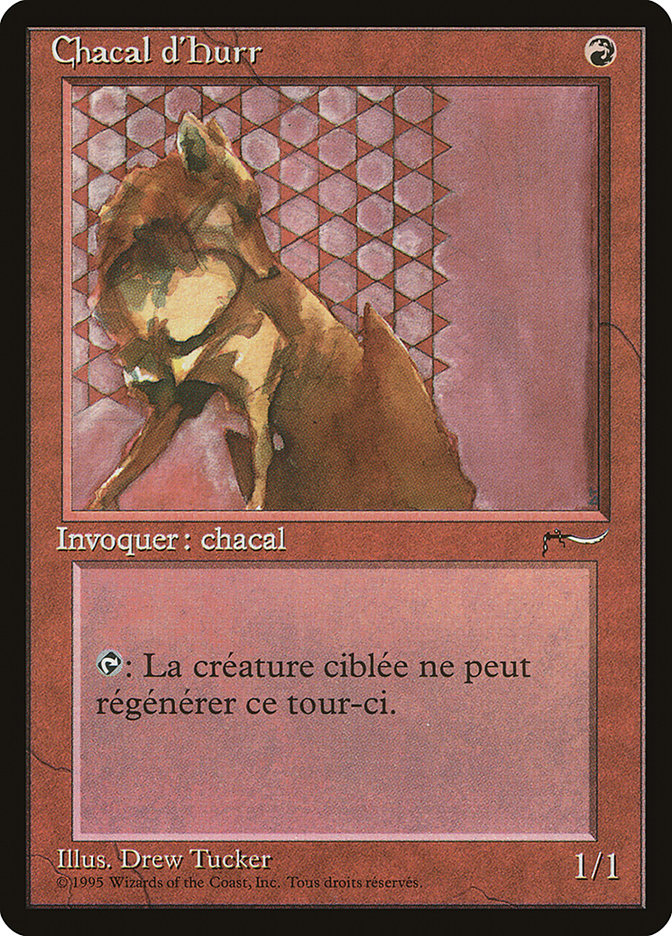 image Chacal d'Hurr