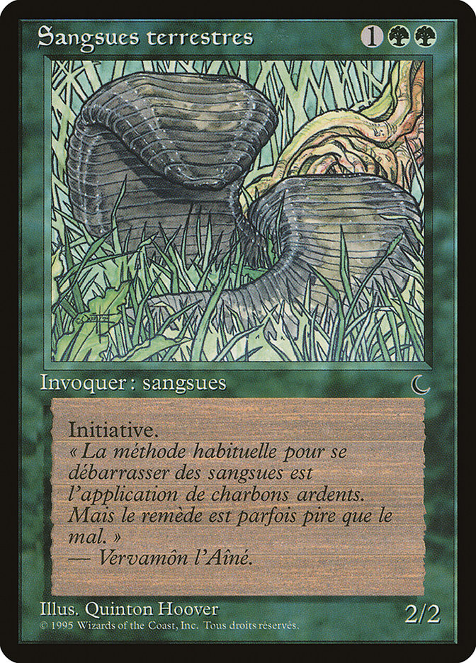 image Sangsues terrestres