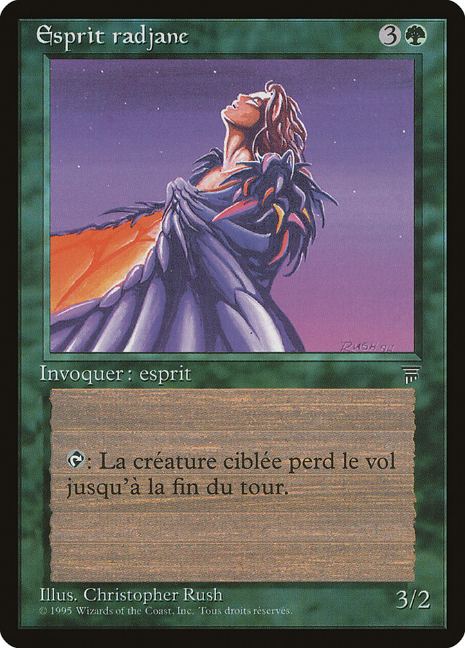 image Esprit radjane