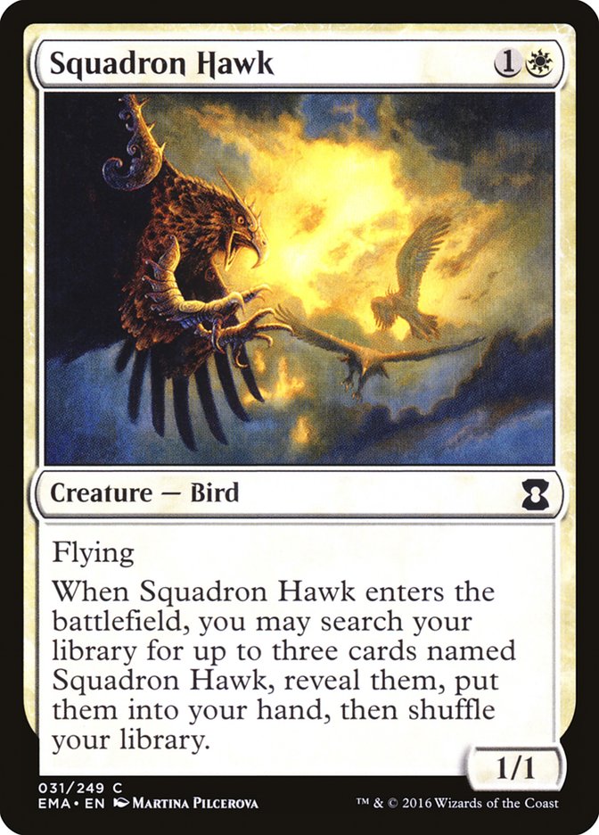 image Squadron Hawk