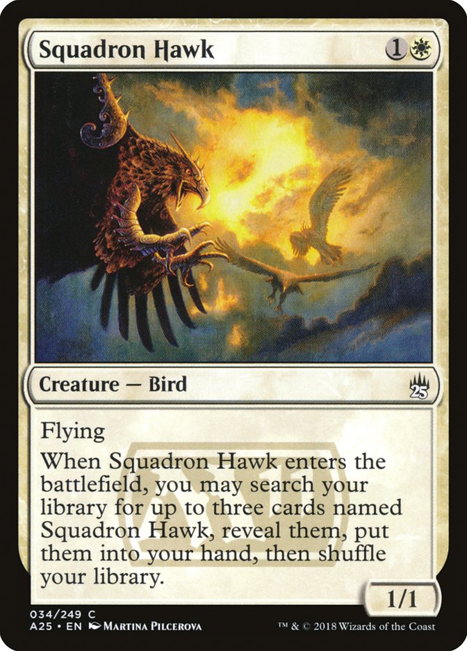 image Squadron Hawk