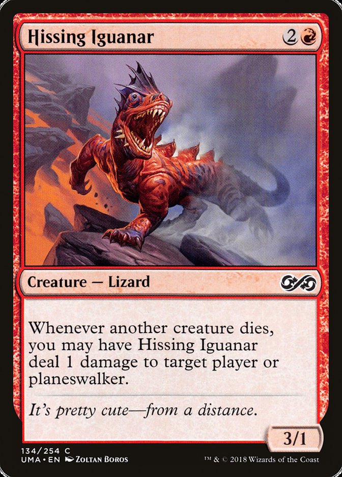 image Hissing Iguanar