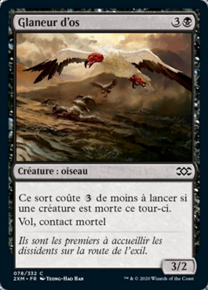 image Glaneur d'os