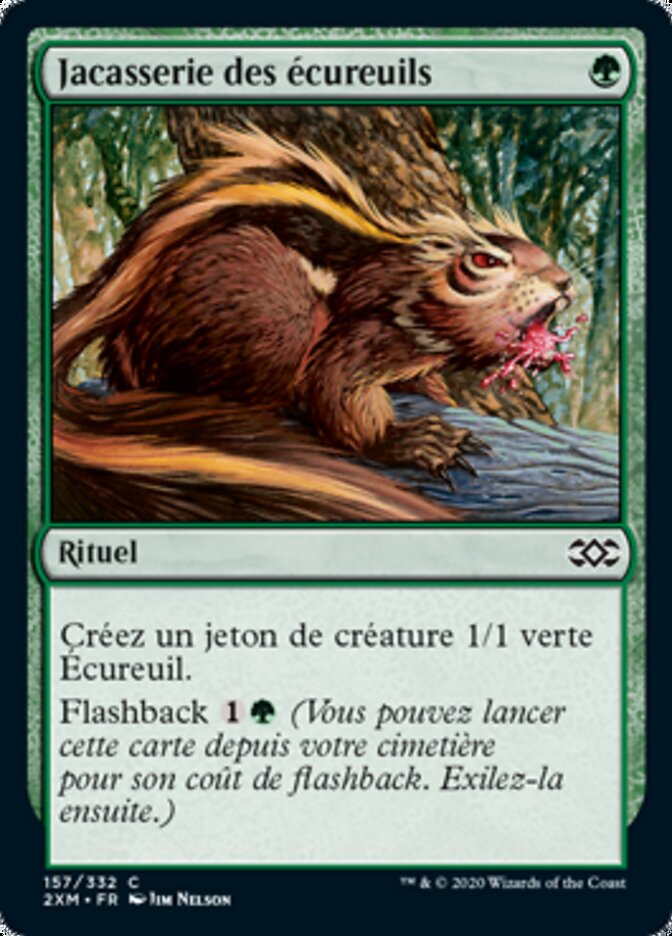 image Jacasserie des écureuils