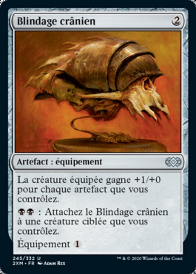image Blindage crânien