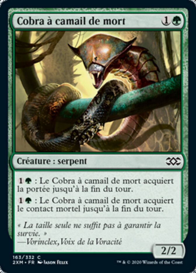 image Cobra à camail de mort
