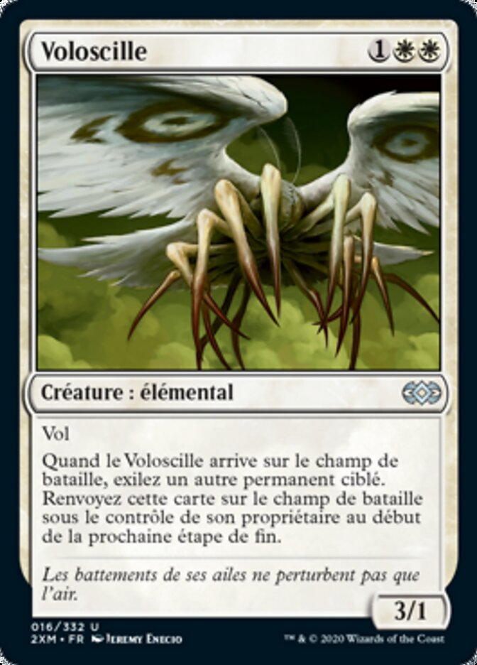 image Voloscille