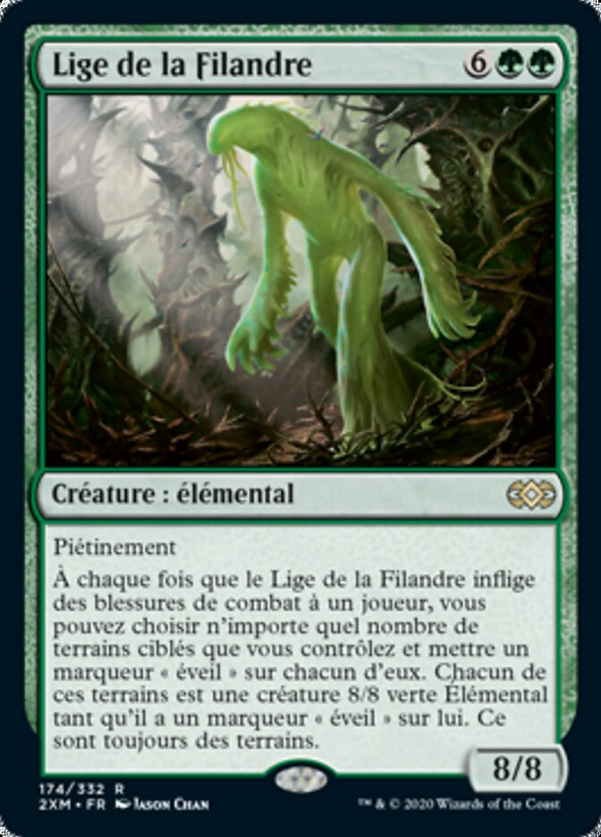 image Lige de la Filandre