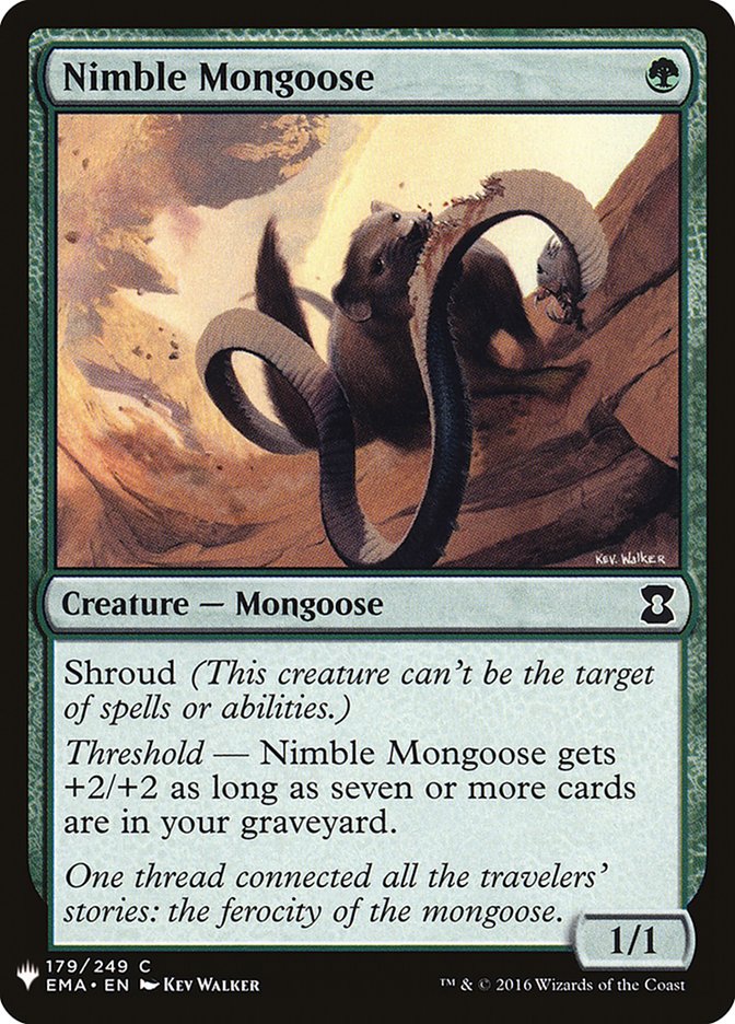 image Nimble Mongoose