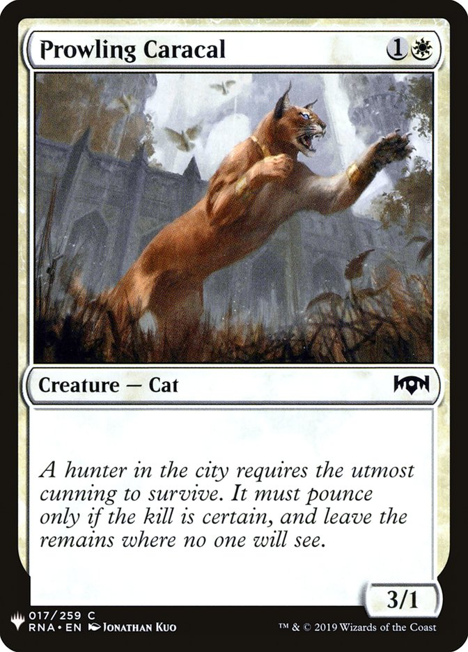 image Prowling Caracal