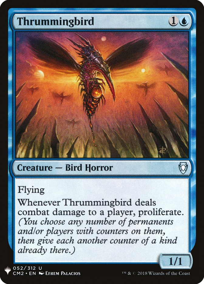 image Thrummingbird