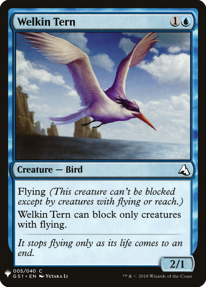 image Welkin Tern