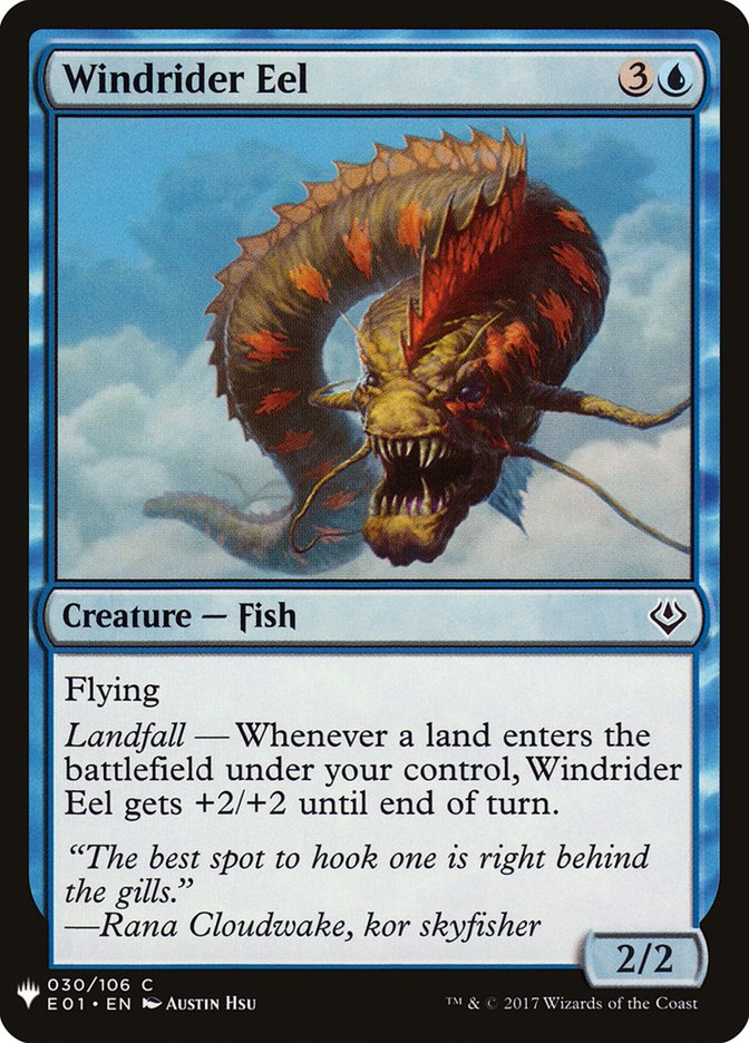image Windrider Eel