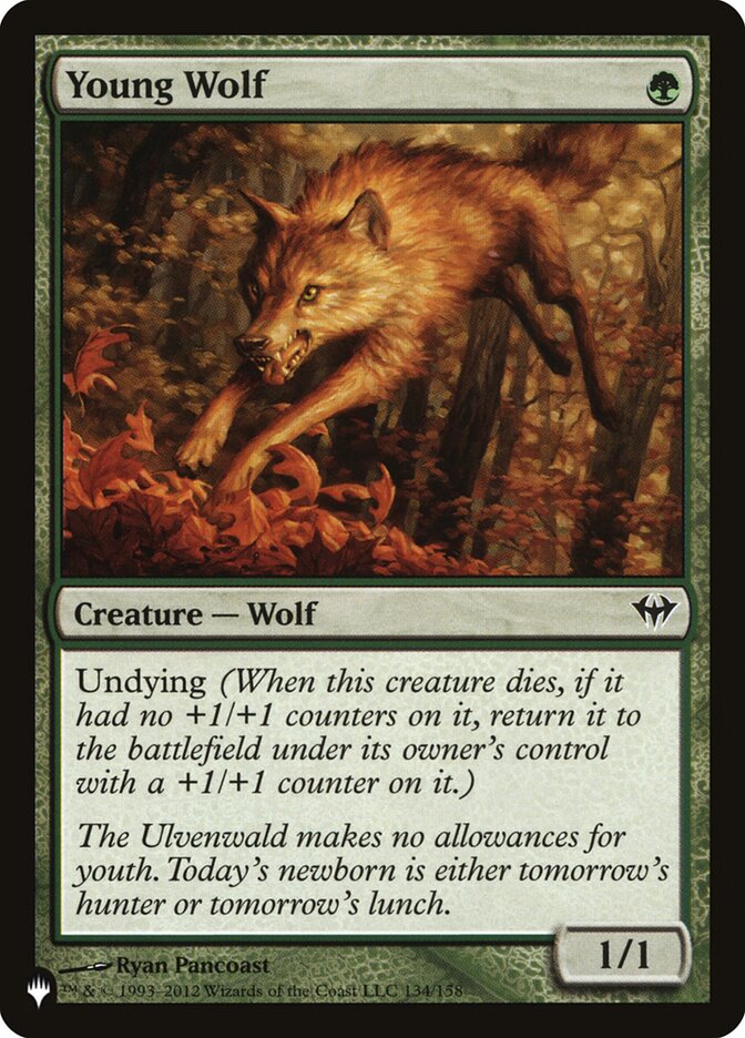 image Young Wolf