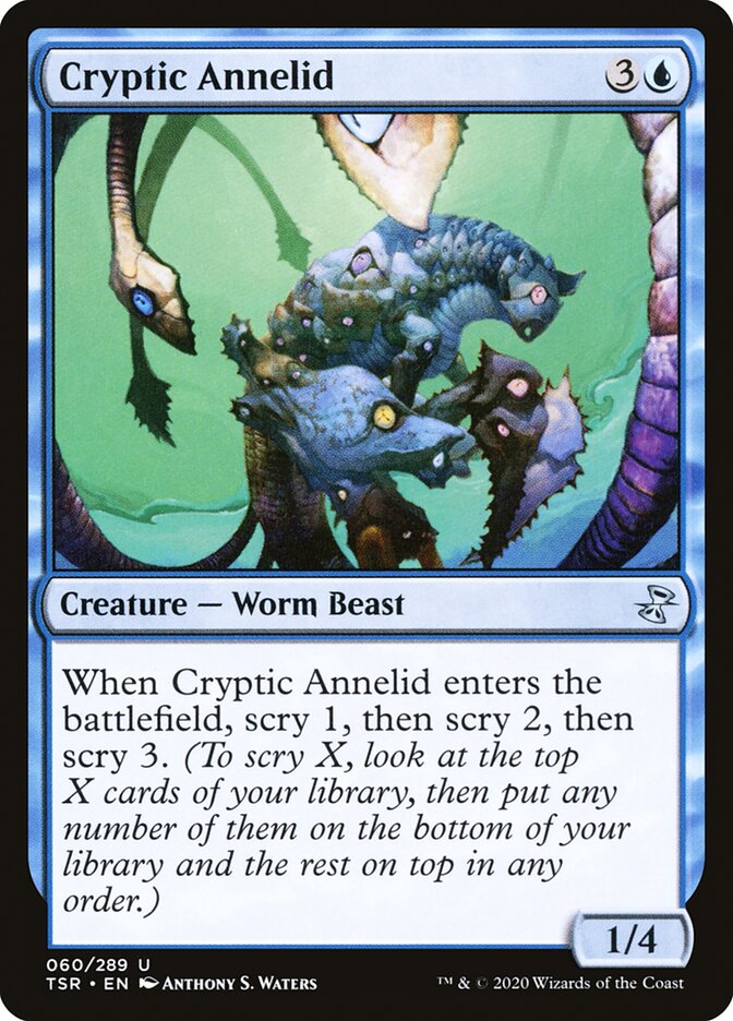 image Cryptic Annelid