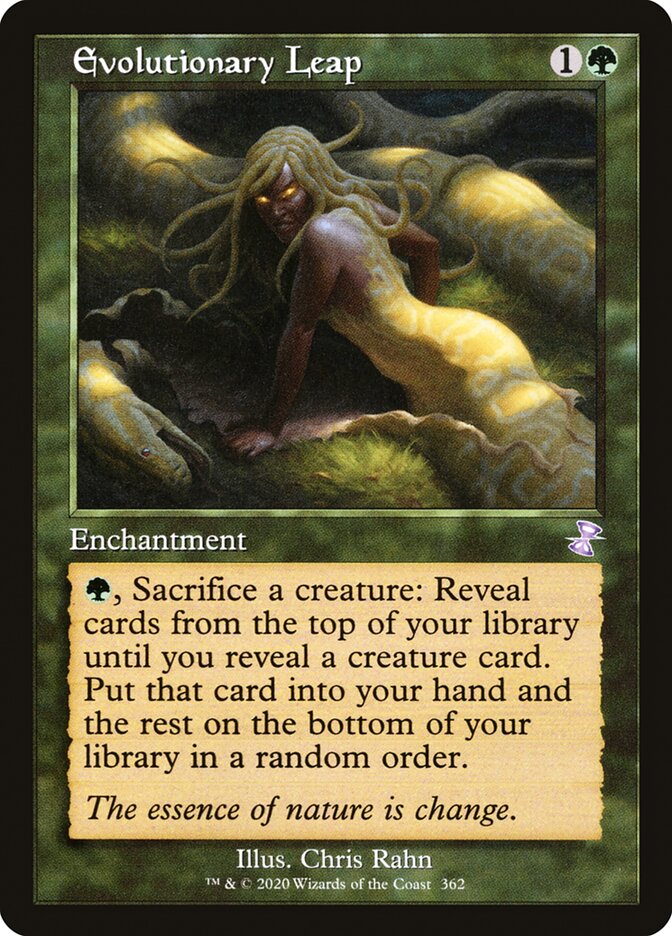 image Evolutionary Leap
