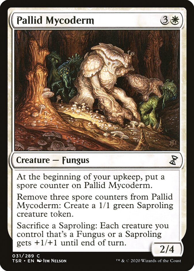 image Pallid Mycoderm