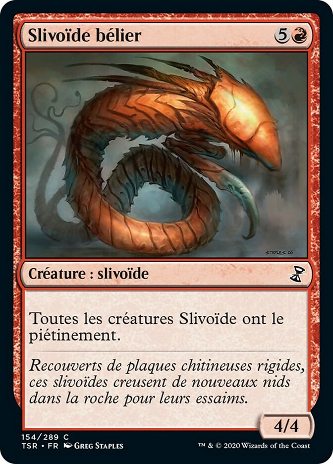image Slivoïde bélier