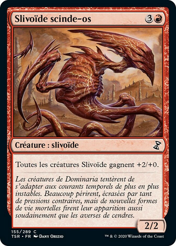 image Slivoïde scinde-os