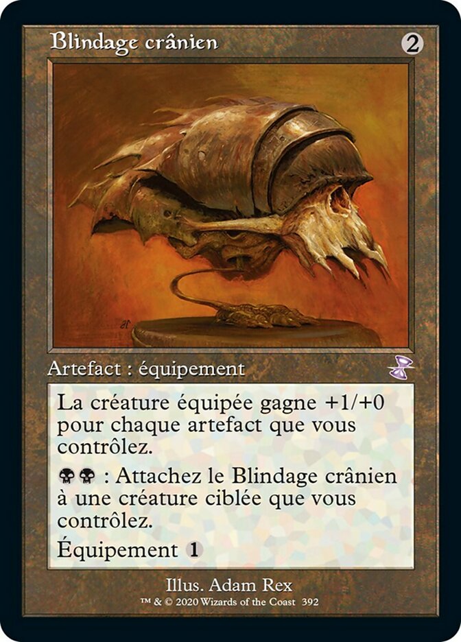 image Blindage crânien