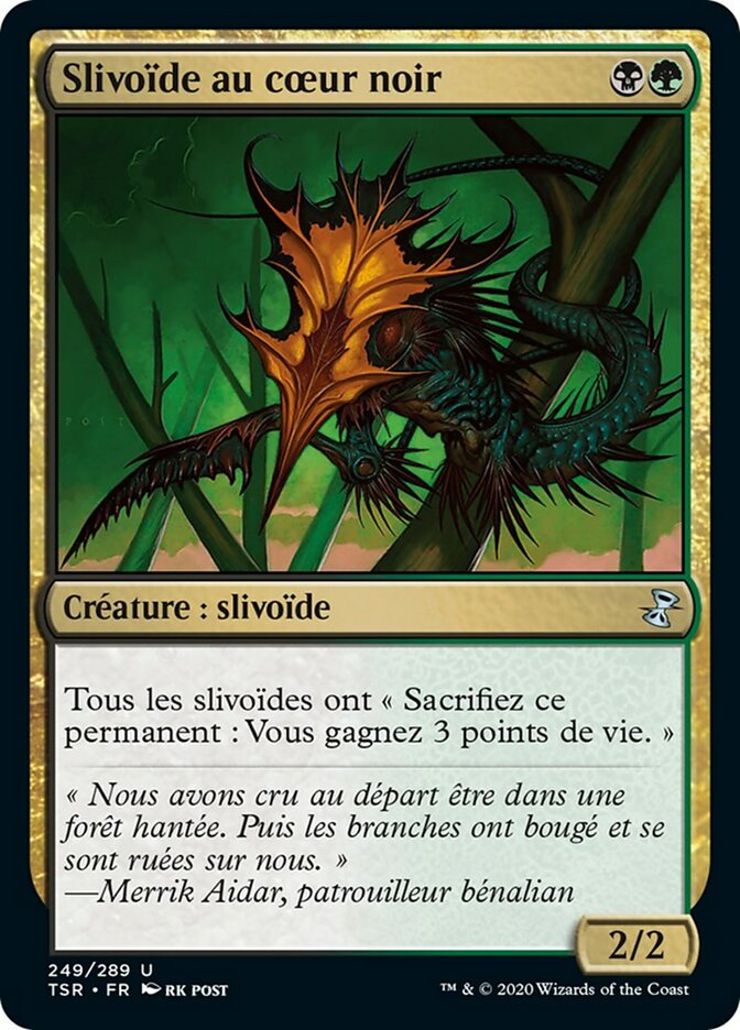 image Slivoïde au cœur noir