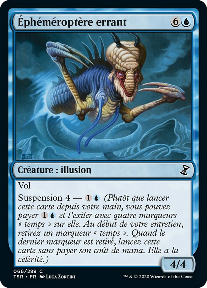 image Éphéméroptère errant
