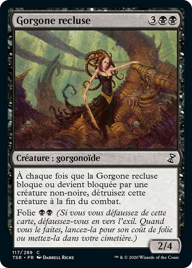 image Gorgone recluse