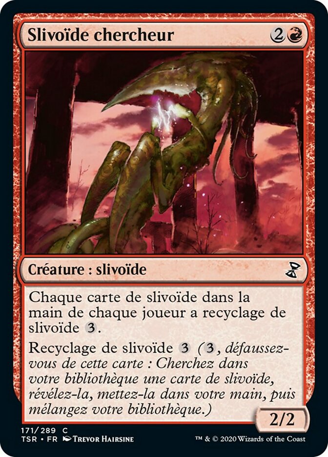 image Slivoïde chercheur